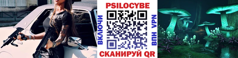 Псилоцибиновые грибы Psilocybe Бирюч