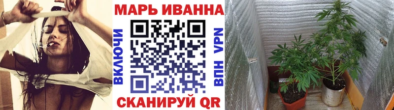 Шишки марихуана конопля  Бирюч 